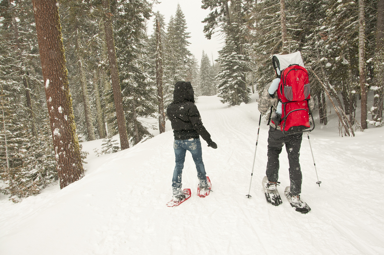 Badger Pass Snowshoers by Nancy Robbins
