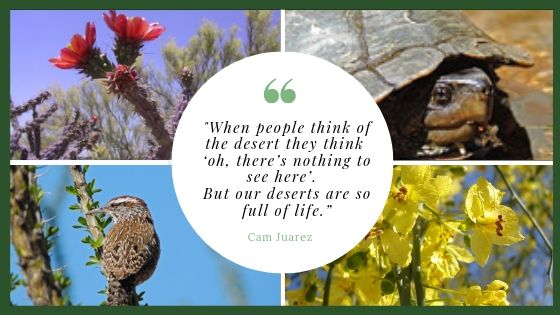 Deserts are full of life quote