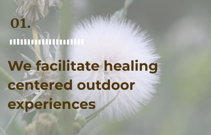 1. Facilitate healing