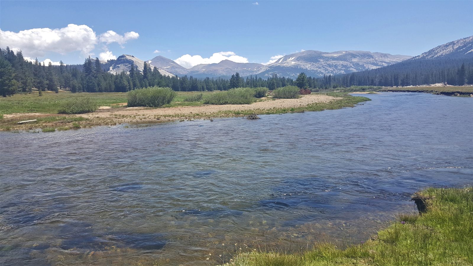  Tuolumne Meadows Beauty Yosemite Conservancy by Gretchen Roecker