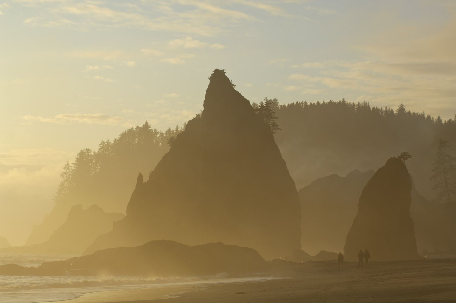 Olympic National Park, Washington