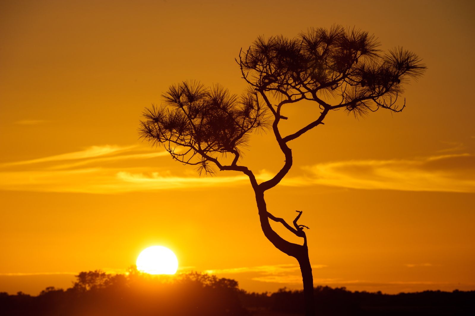 Everglades National Park, Florida