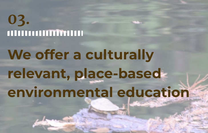 3. Environmental education