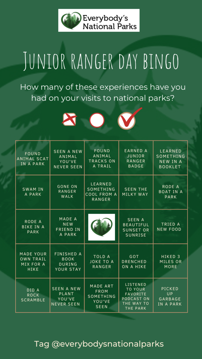 Junior Ranger Day Bingo printable