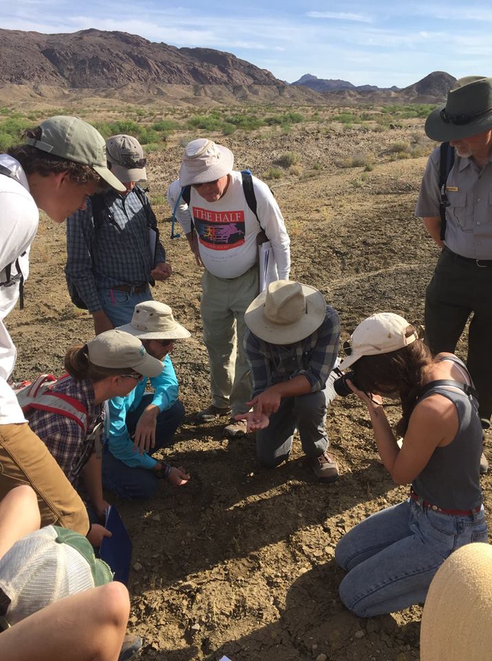 Sul Ross State University students learning about Cretaceous sharks of the Big Bend. Photo by Sam Cason.