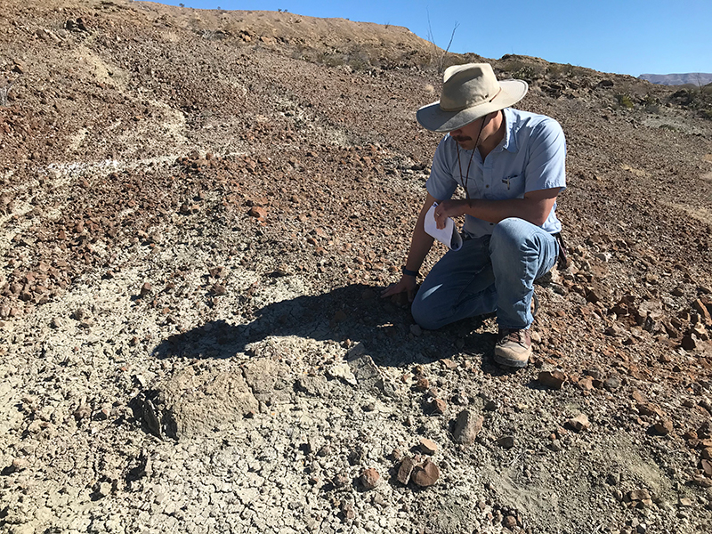 Shiller examining a large dinosaur vertebra. Photo by Jonathan Putnam.