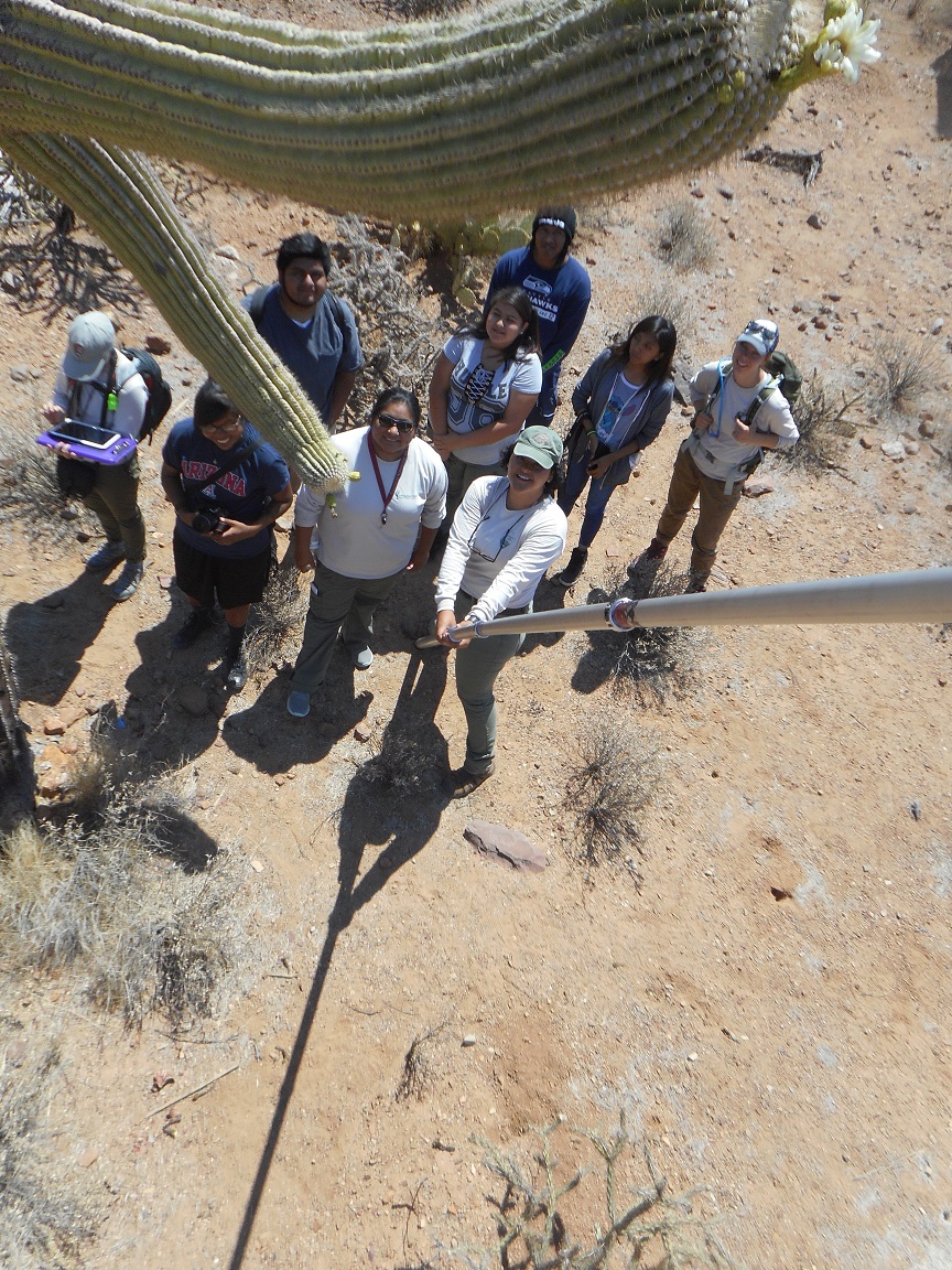 Saguaro National Park phenology study, 2018