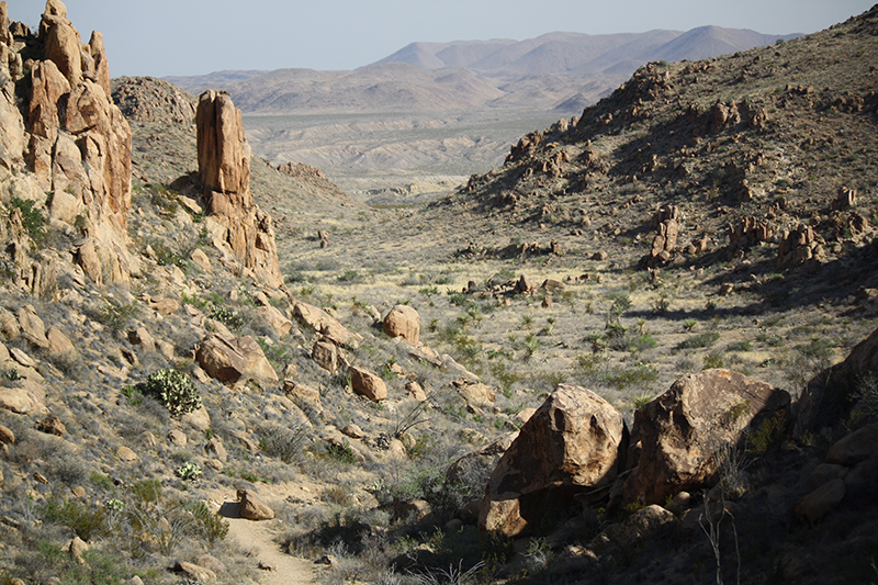 Grapevine Hills. Photo by Ricky Morgan.