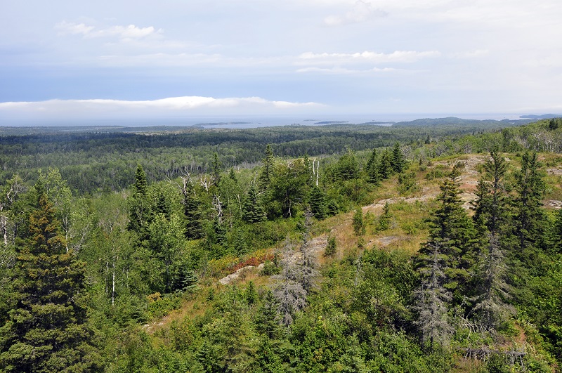 Greenstone Ridge from Ojibway Tower, Isle Royale National Park - photo National Park Service