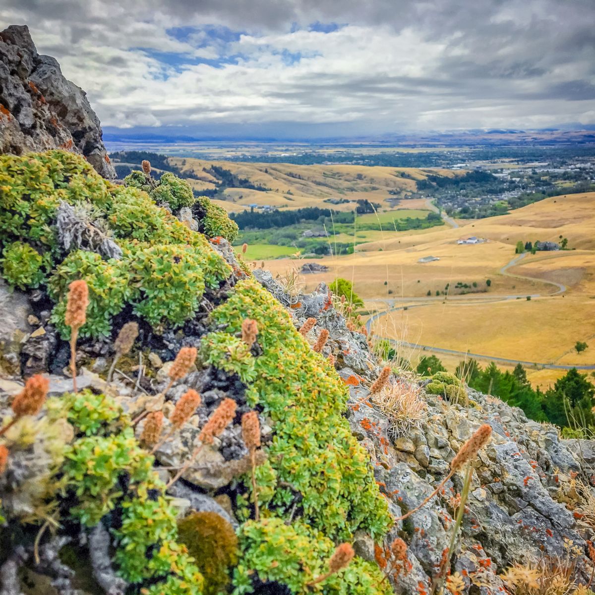 Elevation gives hikers a bird's-eye view. Photo © Larry Holman.