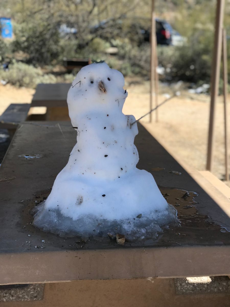 Snowman at Saguaro National Park, February 2019