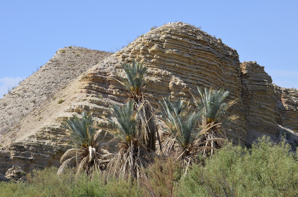 Rock Layers - Hot Springs Trail Vista. Photo by the National Park Service.