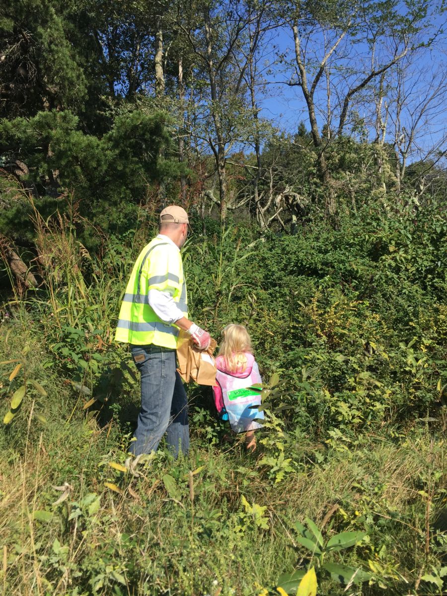 Volunteering at Shenandoah National Park to help save Monarch Butterflies