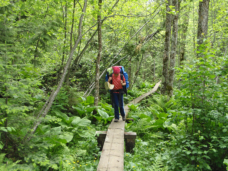 Backpacking in Isle Royale National Park - photo by National Park Service