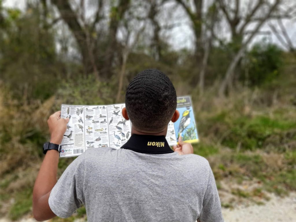 Boy watching birds